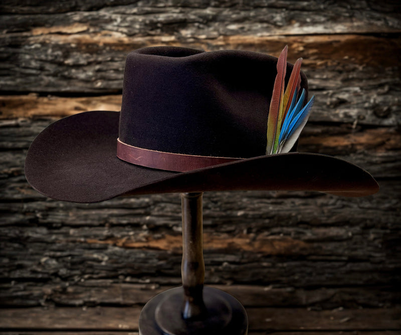 Color:  Darkest Brown